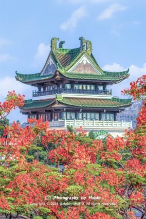 凤凰花开永庆坊，收下这抹广州初夏限定红！_1_Hobin-MK813_来自小红书网页版