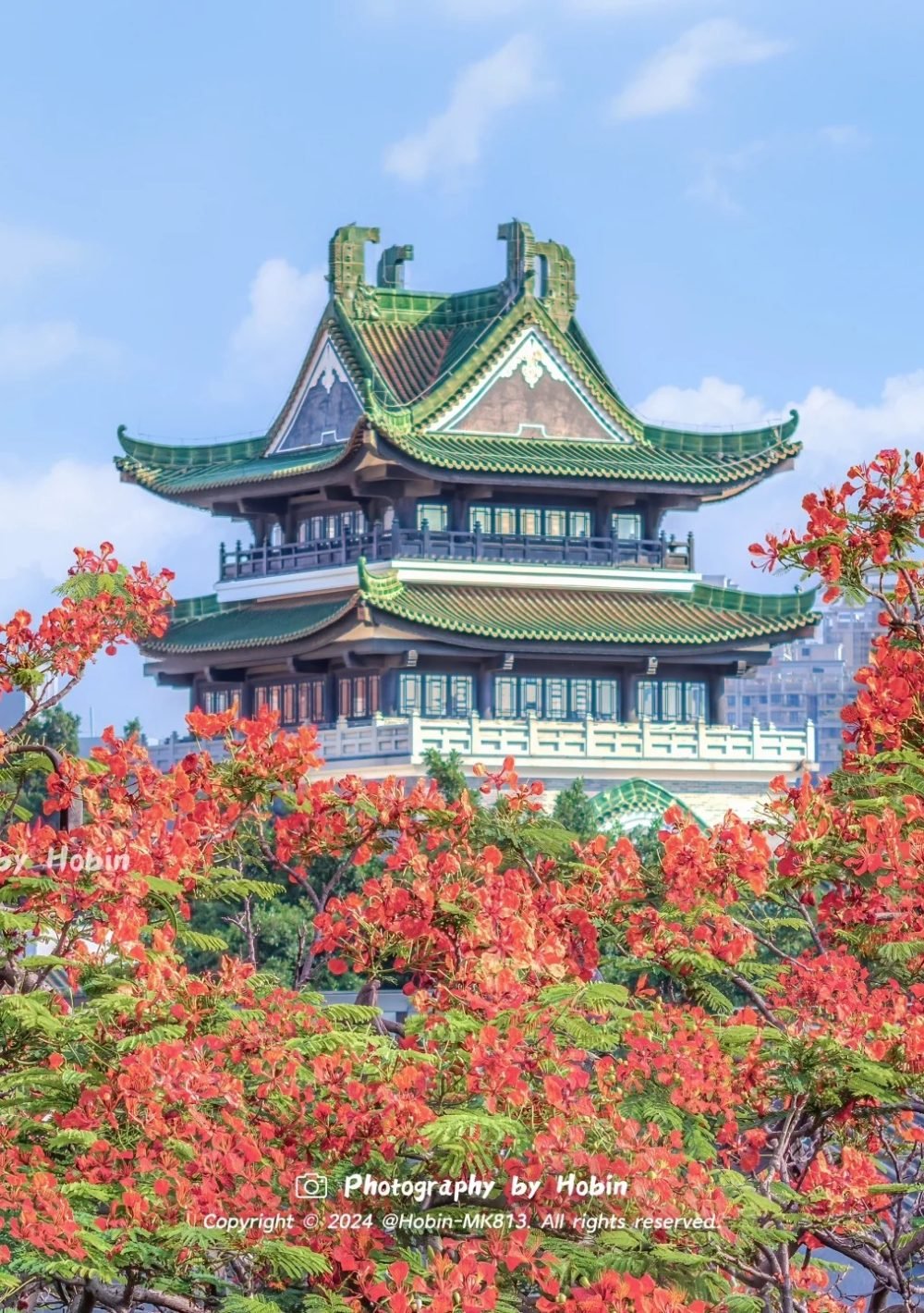 凤凰花开永庆坊，收下这抹广州初夏限定红！_1_Hobin-MK813_来自小红书网页版