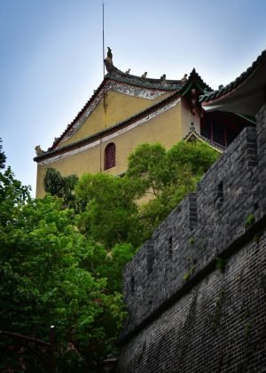 广州国宝行 _ 未登五层楼，不算到广州_9_锦书_来自小红书网页版
